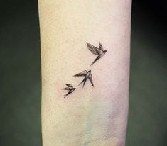 Tiny Swallow Tattoos For Women, Tattoo Ideas Swallows, 3 Swallow Bird Tattoo, Tiny Swallow Tattoo, 3 Swallows Tattoo, 3 Small Birds Tattoo, 3 Bird Tattoo, Two Swallows Tattoo, Mini Bird Tattoo