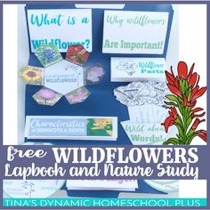 the free wildflower lapbook and nature study is displayed in front of a blue background