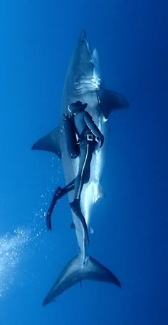 a man riding on the back of a shark under water