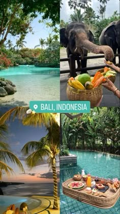 World Traveler Aesthetic, Bali Vision Board, Bali Travel Aesthetic, Bali Vibes Aesthetic, Bali Pictures, Summer Travel Aesthetic, Bali Aesthetic, Bali Life