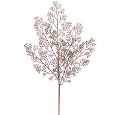 a tree with brown leaves is shown against a white background