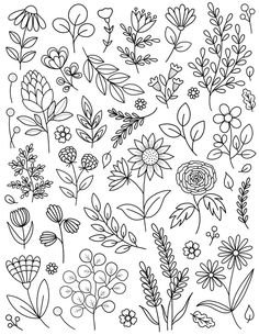 flowers and leaves are drawn in black ink on white paper