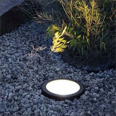 a light that is on some rocks in the grass and bushes behind it with plants