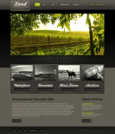 an image of a website page with many pictures on the front and back side of it