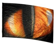 an orange and black cat's eye is shown