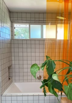 a bathroom with a toilet and bathtub next to a plant on the floor in front of it