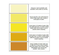 Urine Color Chart, Pee Color Chart, Water Intake Chart, Pee Meaning ...