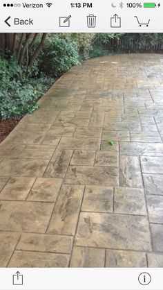 an empty brick walkway in the middle of a yard with trees and bushes behind it