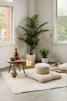 a living room filled with furniture and a potted plant on top of a table