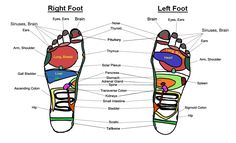 liver feet Foot Massage Chart, Feet Massage, Alternative Healing, Health Ideas