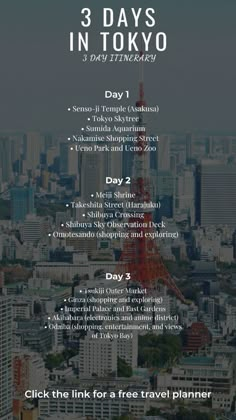 the 3 days in tokyo flyer