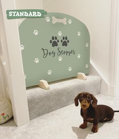 a small dog sitting on the floor in front of a sign that says do step up