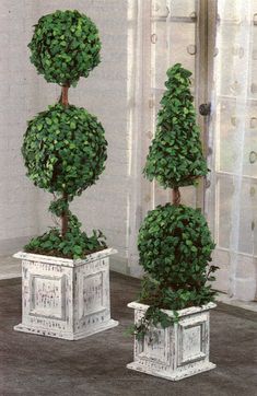 three potted trees in front of a window