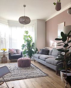 a living room filled with furniture and lots of plants