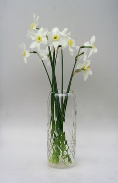 white flowers are in a clear vase with green stems and water on the bottom, against a gray background