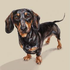 a painting of a dachshund dog standing on a white surface, looking at the camera