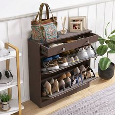 the shoe rack has many pairs of shoes on it and is next to a potted plant