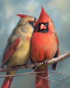 two colorful birds sitting on top of a tree branch with their beaks in each other's mouths