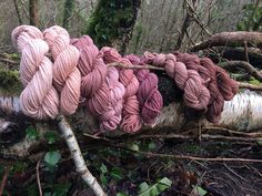 several skeins of yarn on a tree branch in the woods