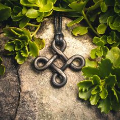 a celtic knot is attached to a rock in front of some green plants and leaves