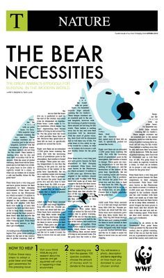 the bear necessities info sheet