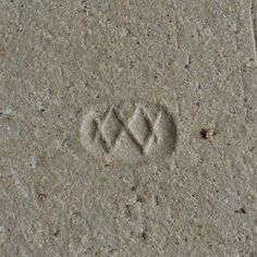 a close up of a small animal's footprints in the sand