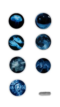 four different images of jellyfish in blue and black colors on a white background, each with their own image