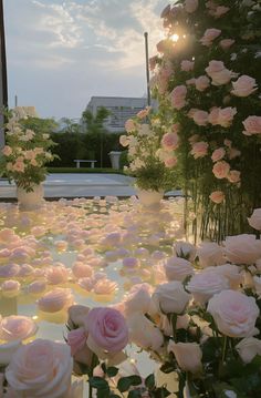 pink and white roses in vases on the ground with sun shining through clouds behind them