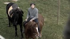 a young man riding on the back of a brown horse next to a black cow