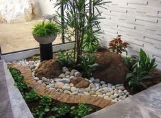 a small garden with rocks and plants in it