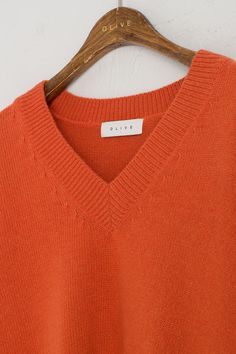 Simple V Neck Jumper, Carrot Practical Style, V Neck Jumper, Fall Fashion, Different Styles, Carrots, Mood Board, Korean Fashion, Jumper, V Neck