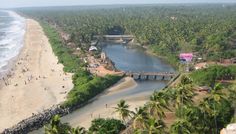 an aerial view of a beach with palm trees and people walking on the shore line