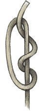 an image of a medical symbol that appears to be in the form of a snake