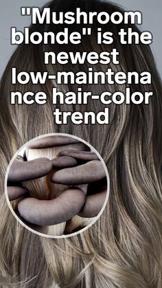 Color To Mix With Grey Hair, Latest Highlights Color Trends 2023, Mushroom Bronde Formula, Mushroom Blonde Formula, Mushroom Brown Hair Color Short, Light Mushroom Brown Hair Color Balayage, Mushroom Brown Hair Color Shades Eq, Mushroom Blonde Hair Color Formula, Mushroom Bronde Hair Color