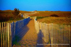 a fence and sand path leading to the beach