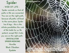 a spider web is shown with the caption's name and description below it