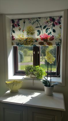 a window with flowers and plants in the sun shining on it's windowsill