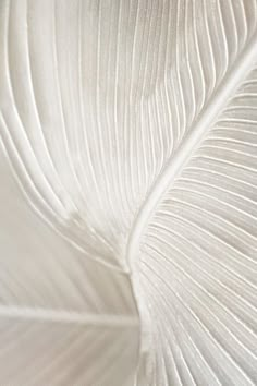 close up view of white fabric with lines on the back and sides, as seen from above