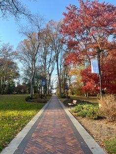 a brick walkway in the middle of a park