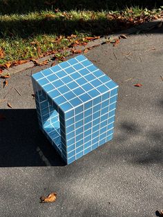 a blue cube sitting on top of a sidewalk next to some leaves and green grass