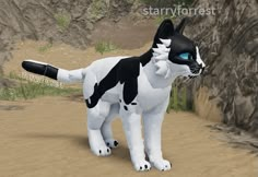 black and white morph in 2024 | Warrior cat names, Warrior cats games ...