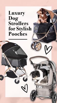 a dog sitting in a stroller next to a baby's pram and the words luxury dog strollers for stylish pooches