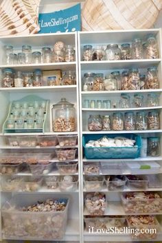 shelves filled with lots of different types of food and containers on top of each shelf