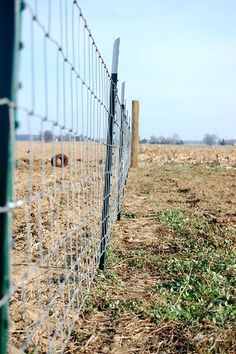 the fence is made of metal wire and has grass growing on it, along with an empty field in the background