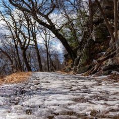 an icy road in the woods with trees and rocks on both sides, surrounded by ice