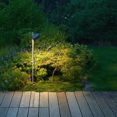 a wooden deck surrounded by green plants and flowers at night time, with a street sign in the foreground