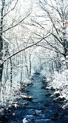 a stream running through a forest covered in snow with a poem written on the side