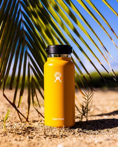 a yellow water bottle sitting on top of a sandy beach next to a palm tree