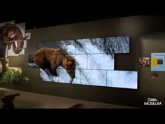 there are many pictures on the wall with animals in them and one bear is eating