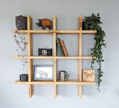 a wooden shelf filled with books and other items next to a wall mounted potted plant